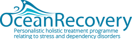 Ocean Recoverey - http://oceanrecoverycentre.com/guides/the-ultimate-guide-to-overcoming-internet-porn-addiction/